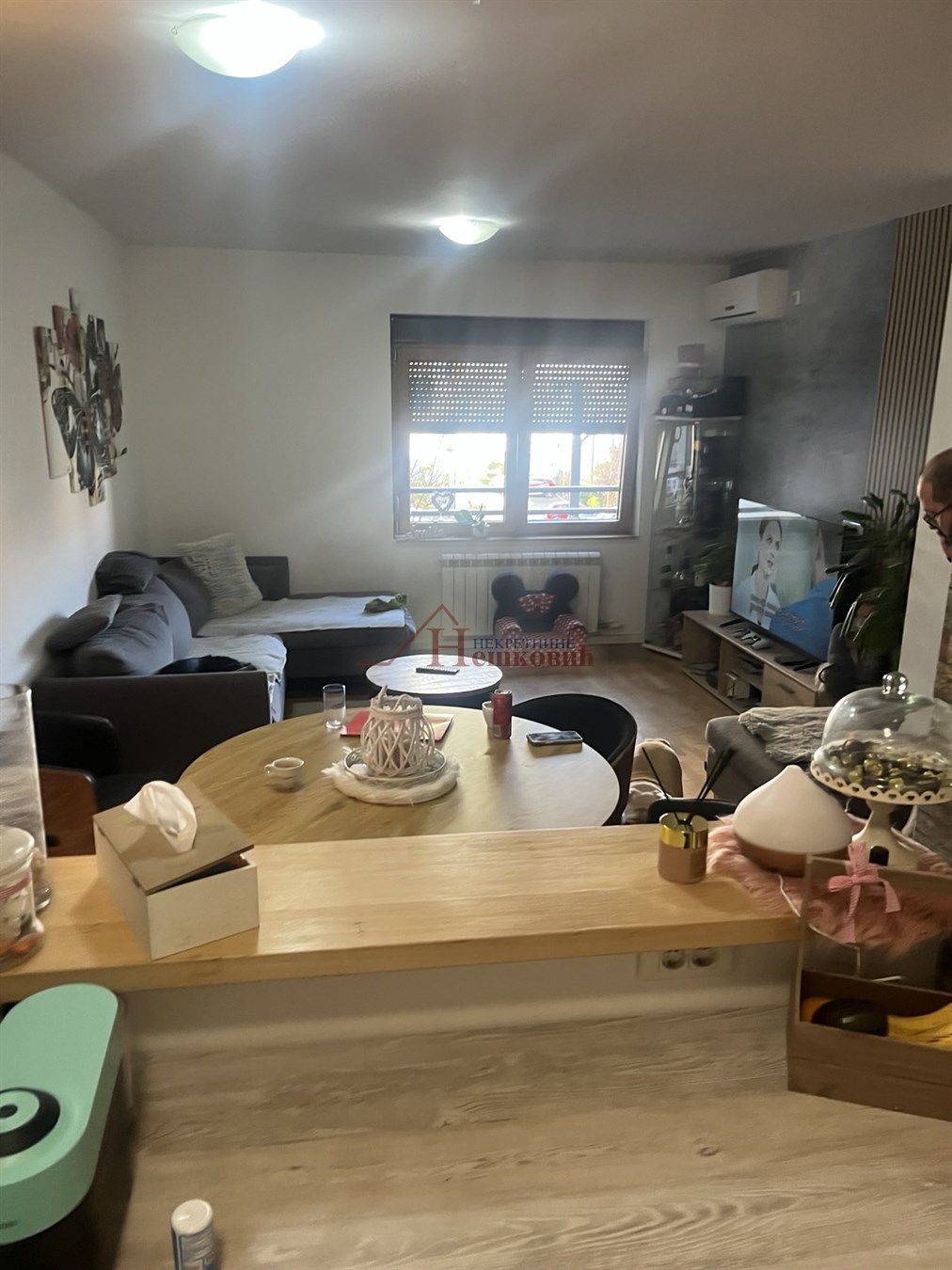 stanovi   Beograd  Zemun centar    Petra Kočića